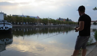 Initiation à la pêche au leurre en « street fishing » au port Saint-Georges