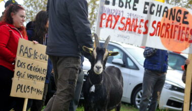 Alsace. À Strasbourg et Colmar, écologistes et syndicats agricoles se mobilisent contre la loi Duplomb