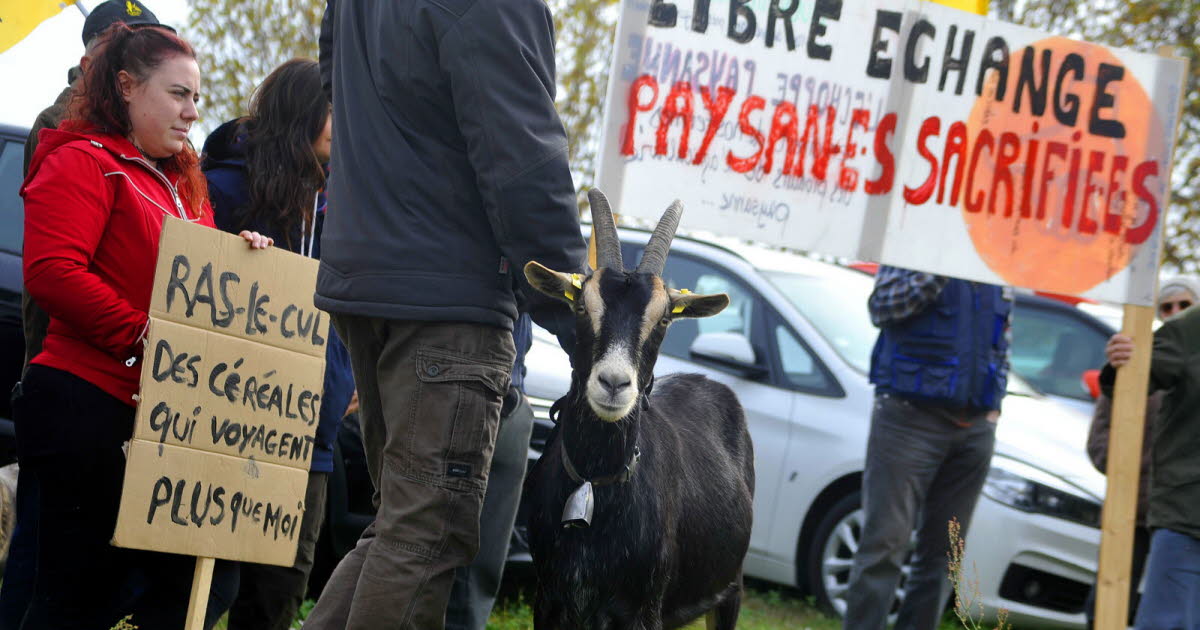 Alsace. À Strasbourg et Colmar, écologistes et syndicats agricoles se mobilisent contre la loi Duplomb