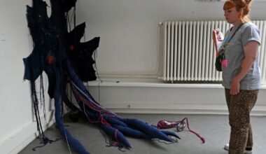 Alsace. Quatre prix sont traditionnellement remis aux diplômés de la Haute école des arts du Rhin