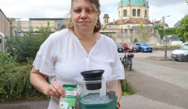 la Ville distribue 2 500 pièges aux habitants