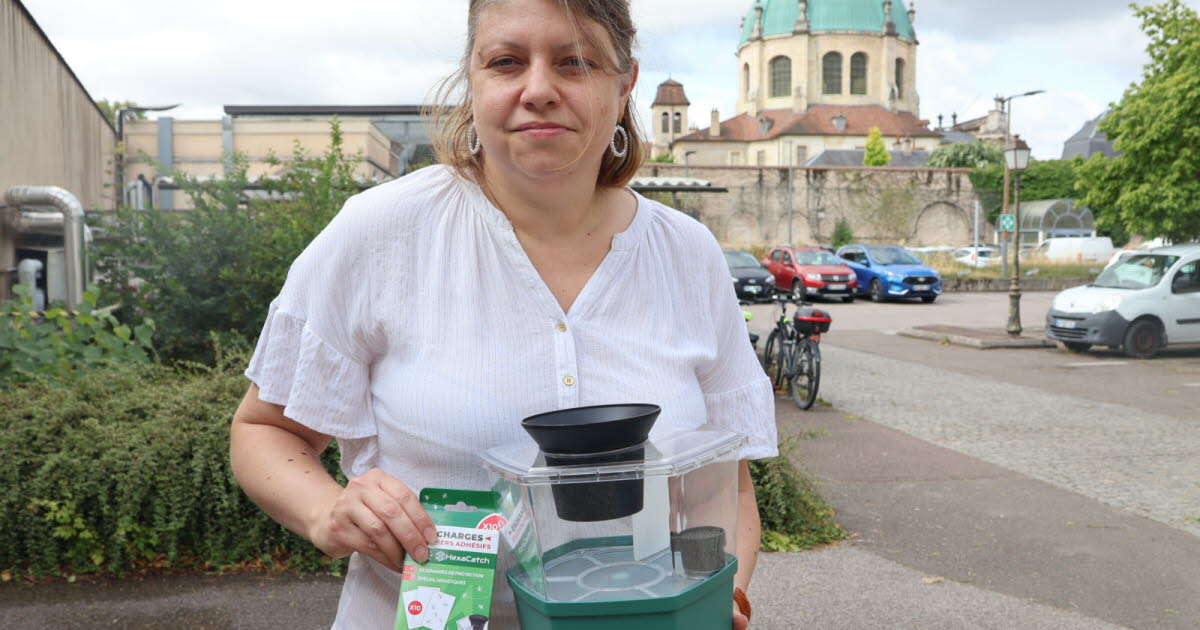 la Ville distribue 2 500 pièges aux habitants