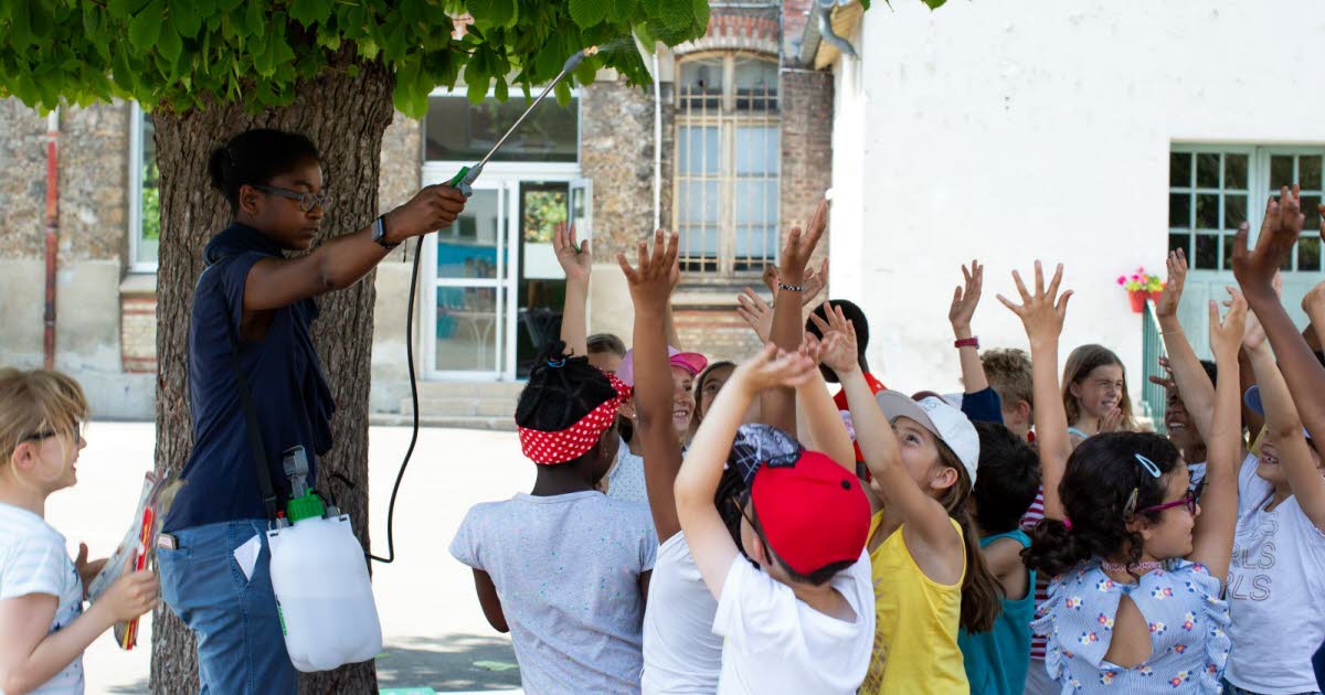 les mesures de l'Éducation nationale face à la canicule