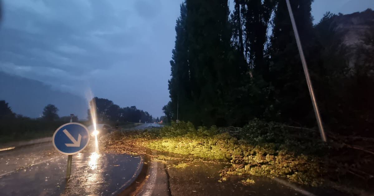 Métropole de Grenoble. Des inondations et des chutes d’arbre provoquées par l’orage