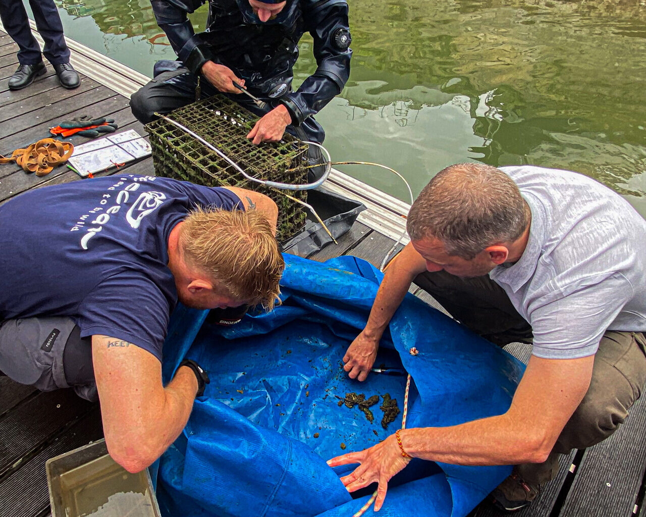Les biohuts sont situées sous le port de plaisance de Rouen (Seine-Maritime) depuis 2022. Leur but ? Observer l’évolution des espèces dans le fleuve. (© IR/76actu)