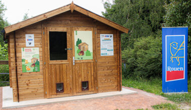 à Rouen, le tout premier Chatipi de Normandie a ouvert ses portes