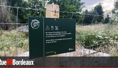 "Des taux très élevés de cadmium" sur les berges du Lac de Bordeaux
