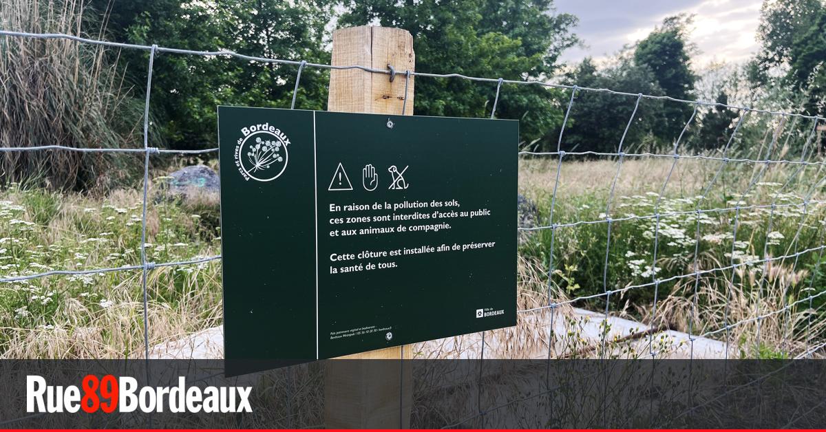 "Des taux très élevés de cadmium" sur les berges du Lac de Bordeaux