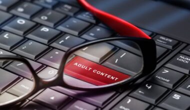 Youporn et Pornhub à nouveau accessibles en France