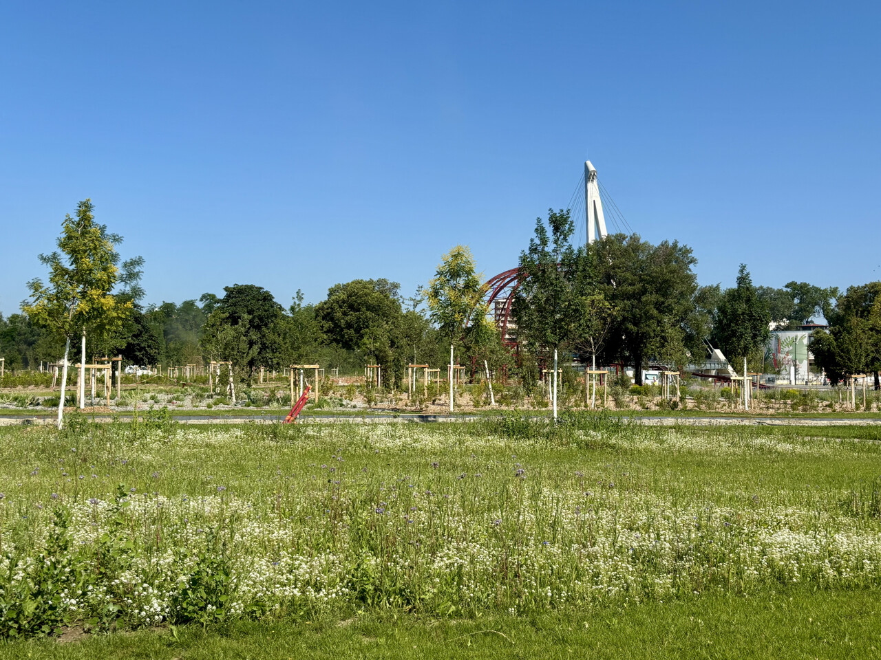 EN IMAGES. Toulouse. Piste cyclable, volière, végétalisation... Le parc de l'île du Ramier prend forme