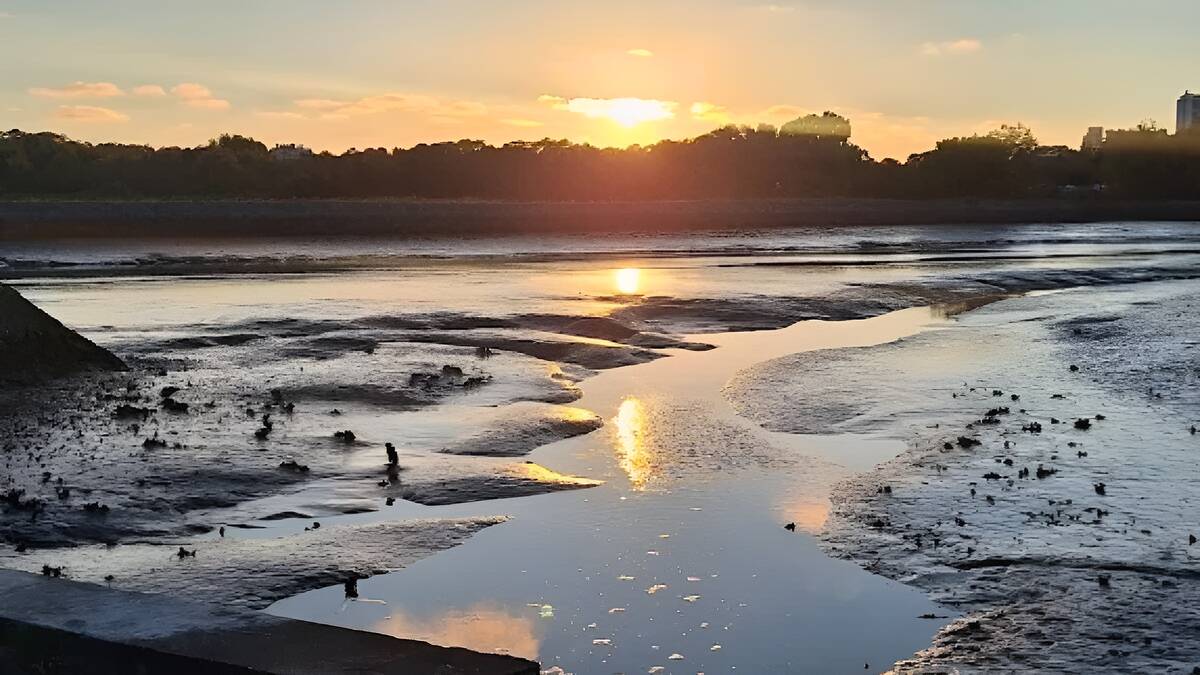 Les paysages blancs des Prés Salés Est non loin de Bordeaux - Anna V.