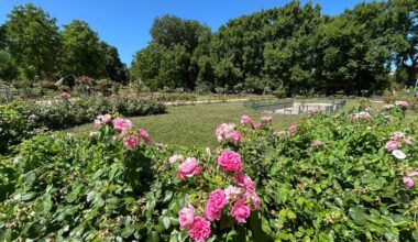 ce coin très apprécié du parc de la Pépinière va être totalement rénové