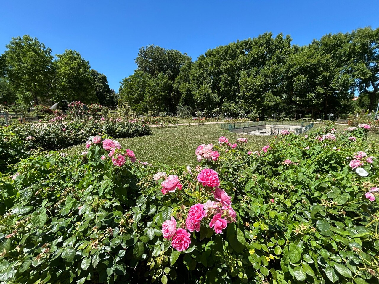 ce coin très apprécié du parc de la Pépinière va être totalement rénové