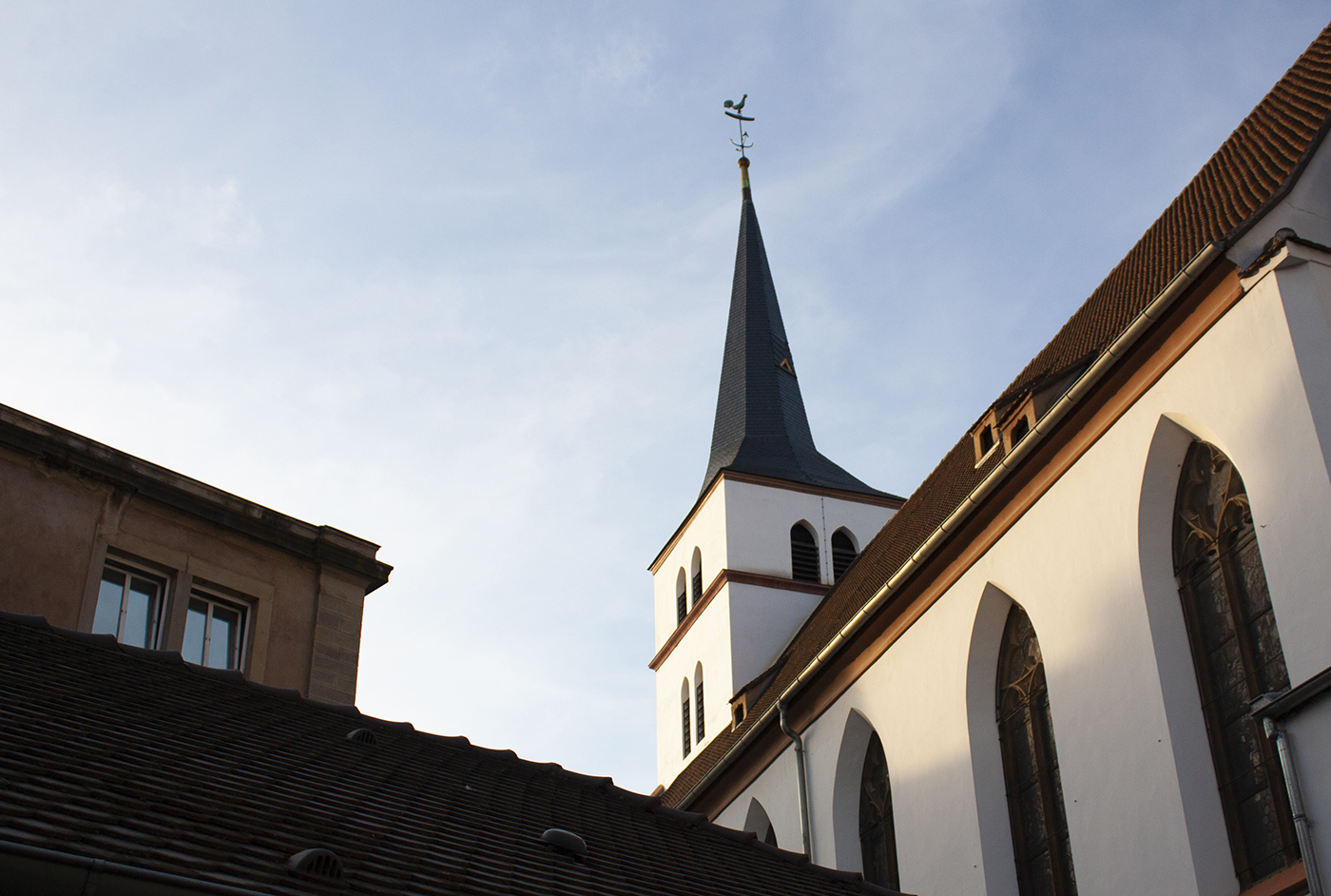 saint guillaume queer religion paroisse protestant – Paroisse protestante Saint Guillaume ©Lucie B_Pokaa