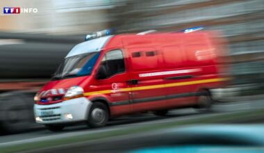 Orages : blessée à Paris après la chute d'une branche d'arbre, la jeune femme âgée de 20 ans est décédée