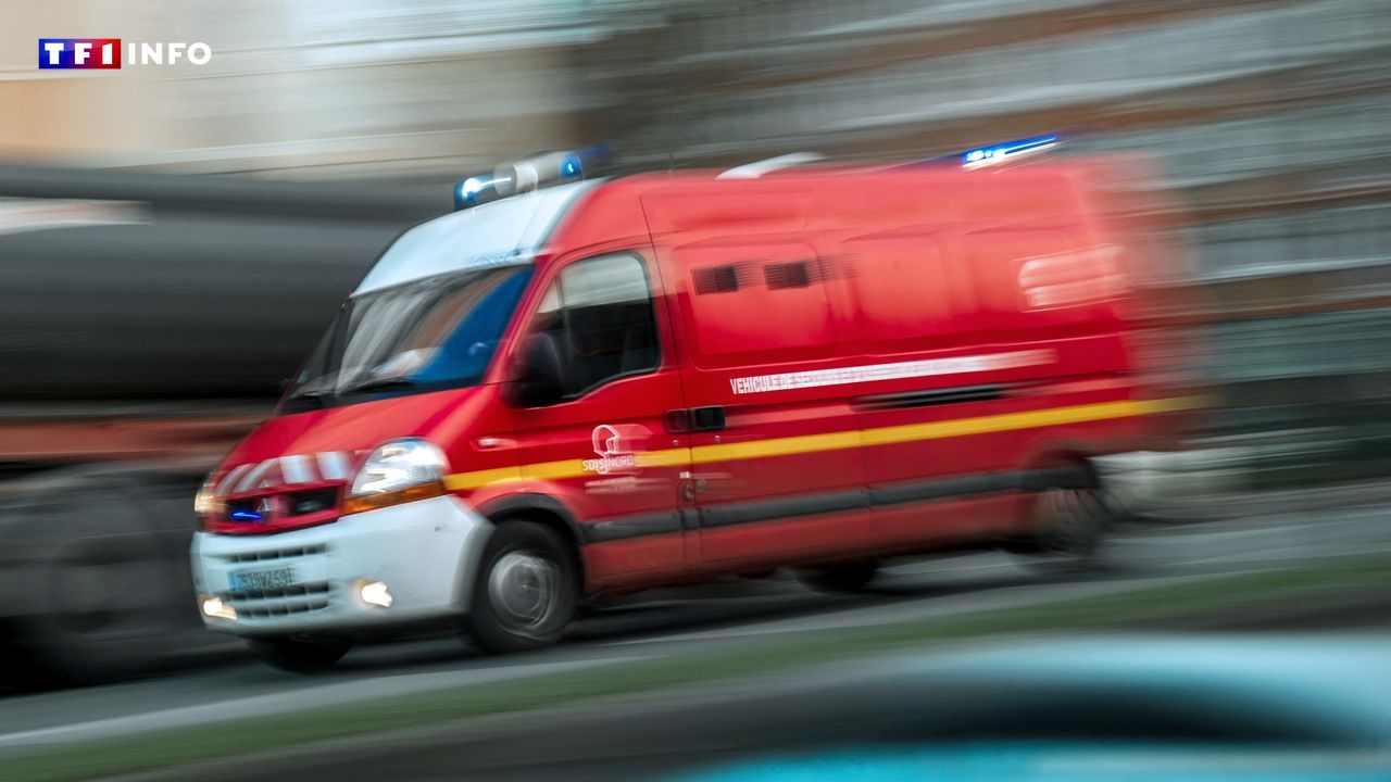Orages : blessée à Paris après la chute d'une branche d'arbre, la jeune femme âgée de 20 ans est décédée