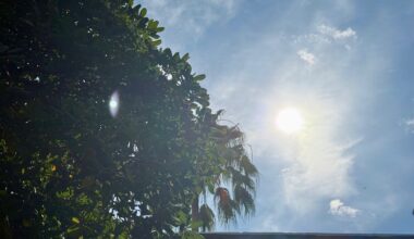 Alerte orange canicule à Marseille et dans les Bouches-du-Rhône. Jusqu'à quand ça va durer ?