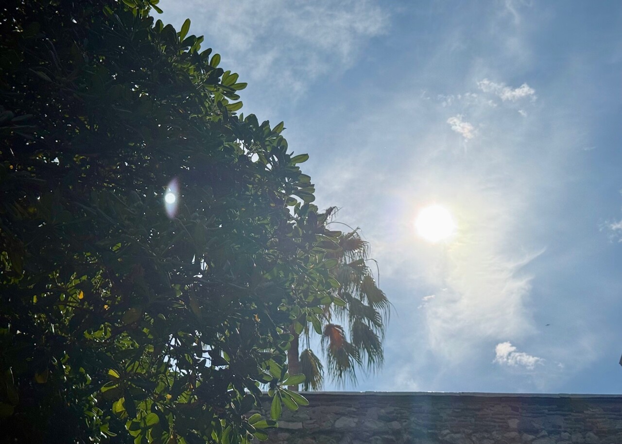 Alerte orange canicule à Marseille et dans les Bouches-du-Rhône. Jusqu'à quand ça va durer ?