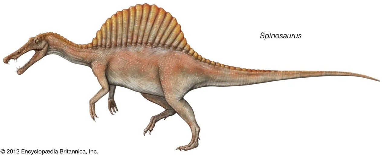 Spinosaurus