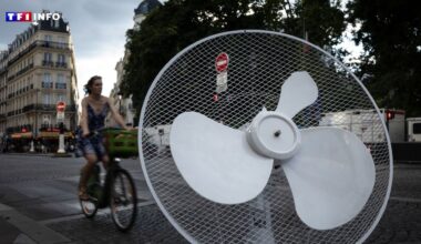 Canicule : 84 départements en vigilance orange, "du jamais-vu" en France