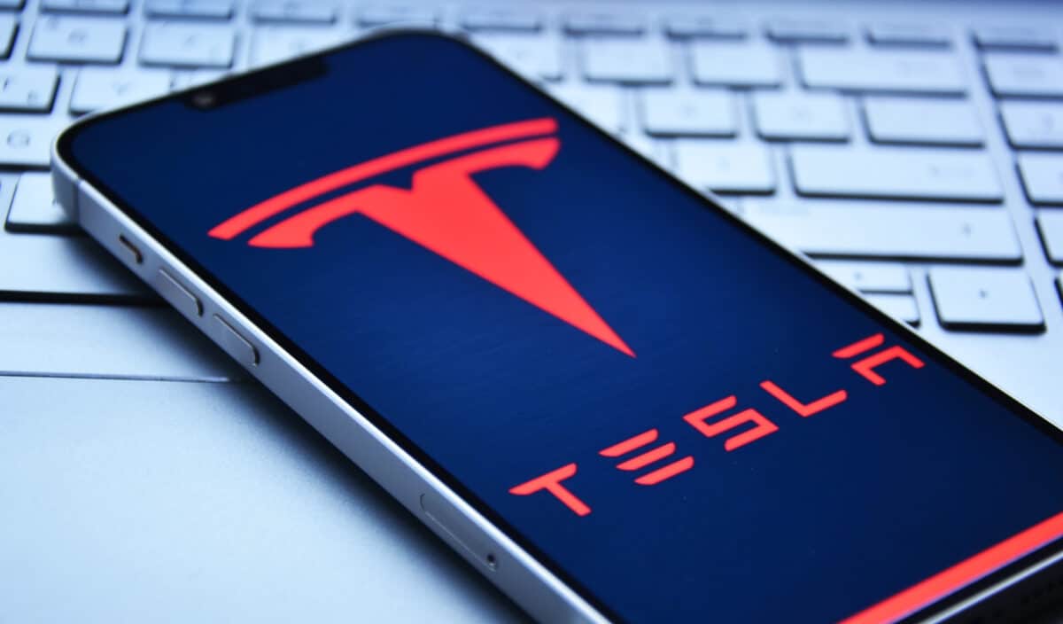 Tesla abat 500 000 arbres pour agrandir son usine en Allemagne
