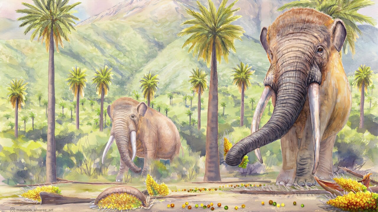 mastodontes