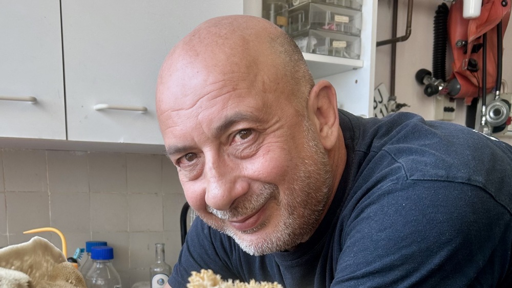 Sommet scientifique à Nice, biodiversité à Marseille... l'interview de Thierry Perez, spécialiste en écologie marine à l'Imbe
