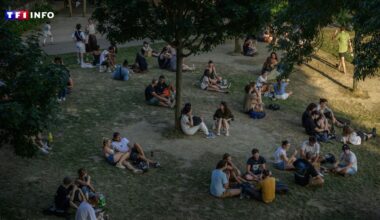 Canicule et Fête de la musique : ces grandes villes où parcs et jardins restent ouverts cette nuit
