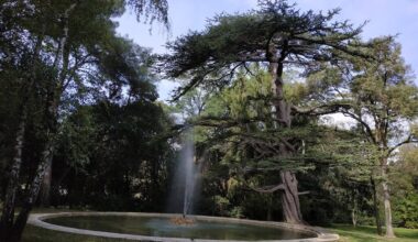 pourquoi le parc de Grammont sera-t-il fermé ce dimanche ?