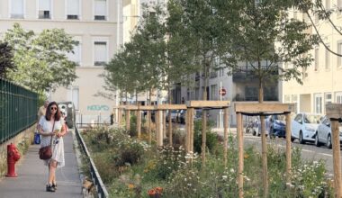 à Lyon, le bilan en demi-teinte des écologistes sur la végétalisation