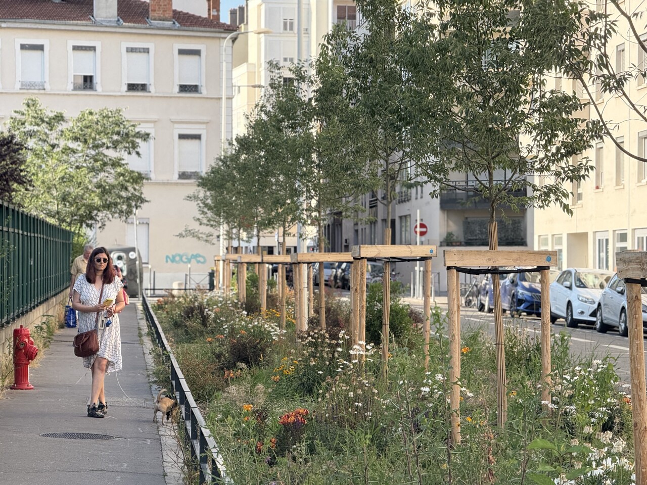 à Lyon, le bilan en demi-teinte des écologistes sur la végétalisation