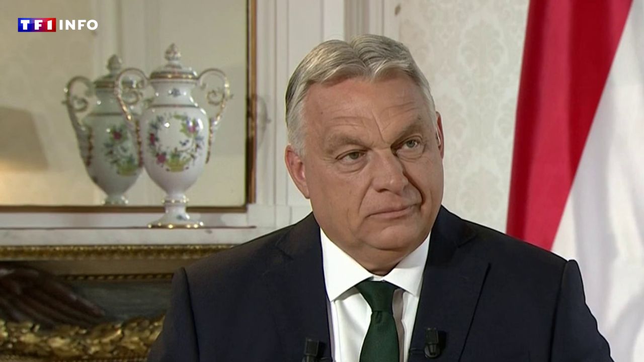 Marine Le Pen, Emmanuel Macron, la guerre en Ukraine... Ce qu'il faut retenir de l'entretien de Viktor Orban sur LCI