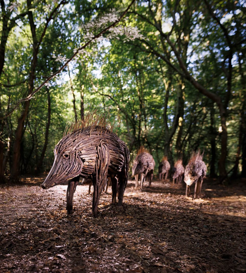 Ewa Dabrowska, Herd