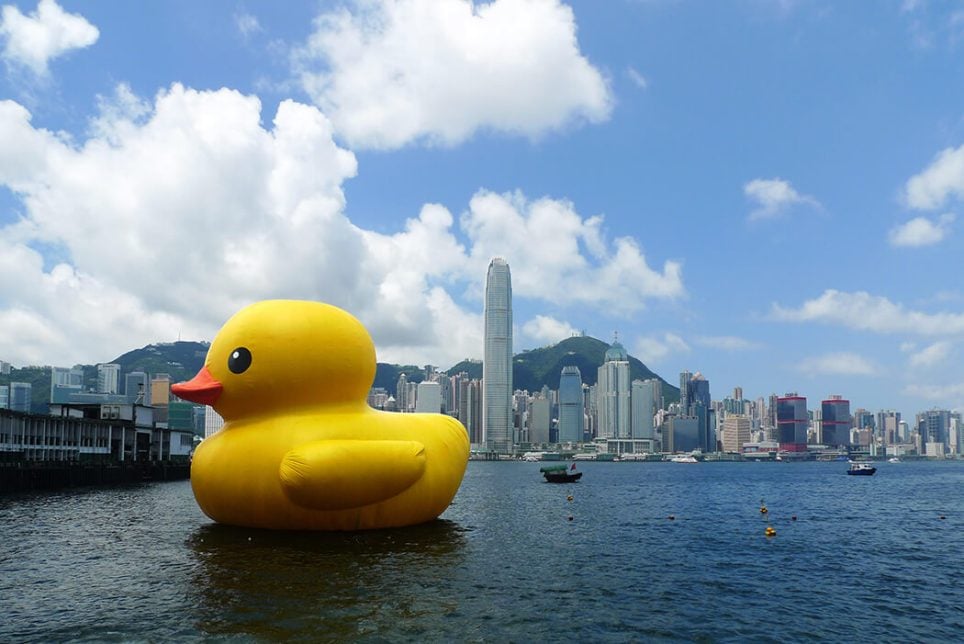 Florentijn Hofman, « Rubber Duck » (2007) à Hong Kong