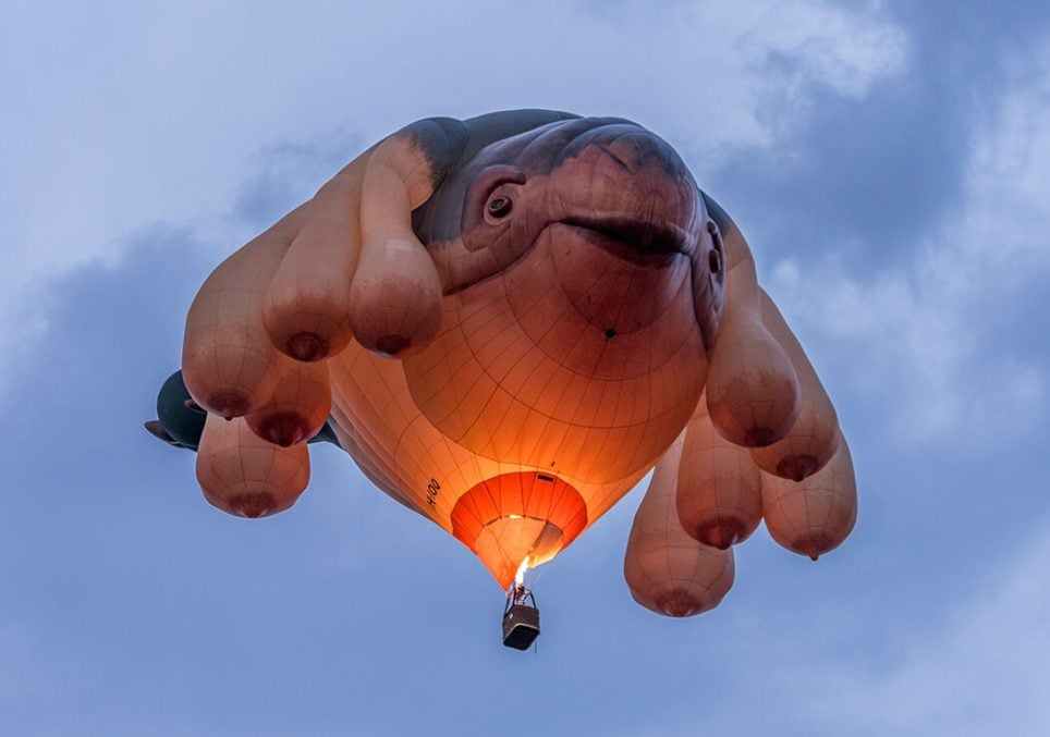 Patricia Piccinini, « Skywhale » à Canberra
