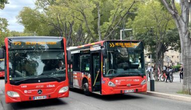 RTM. À Marseille, des chauffeurs de bus arrêtent le travail après la découverte d’une punaise de lit