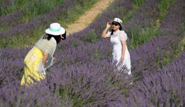un guide des bonnes pratiques à destination des créateurs de contenu vise à limiter le surtourisme