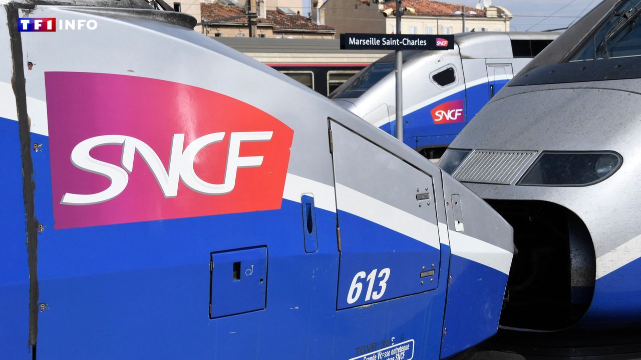 Incendie à Marseille : reprise progressive de la circulation des TGV aujourd'hui
