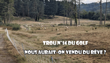 Quand le fairway devient un pâturage : Lourdes et le mystère du pitch & putt ovin