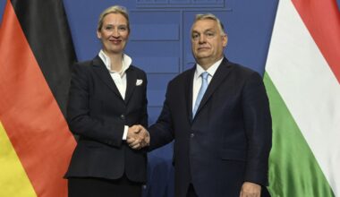 L'AfD pourrait rejoindre le groupe "Patriotes pour l'Europe" après les élections allemandes