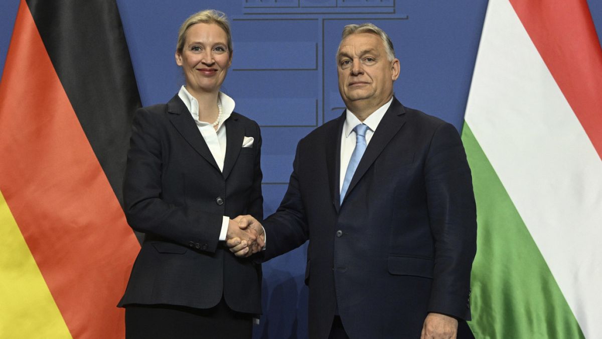 L'AfD pourrait rejoindre le groupe "Patriotes pour l'Europe" après les élections allemandes
