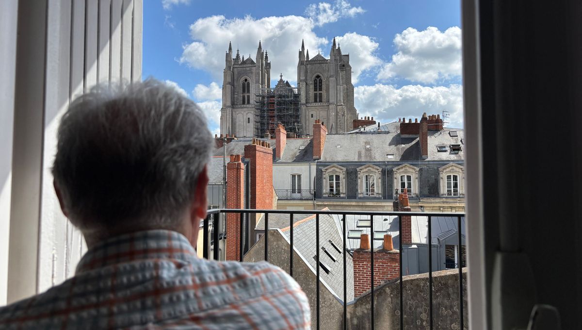 "J'ai vu des flammes derrière les vitraux" : 5 ans après l'incendie de la cathédrale de Nantes, le quartier se souvient