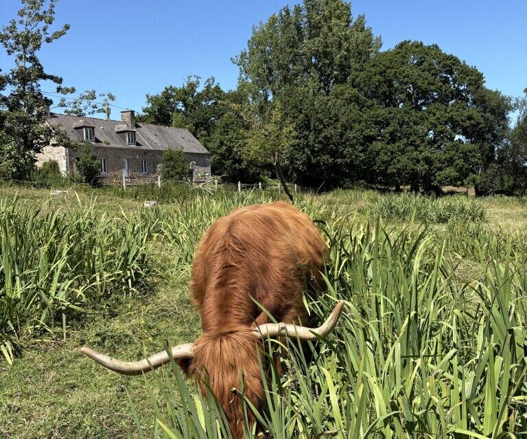 Un golf avec les animaux de la ferme.