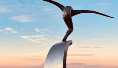 Cérémonies du 14 juillet 2025 : hommage aux victimes et familles avec un (…)