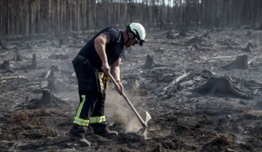 Les pompiers continuent de lutter contre des feux de forêt en Allemagne, en Grèce et en Turquie