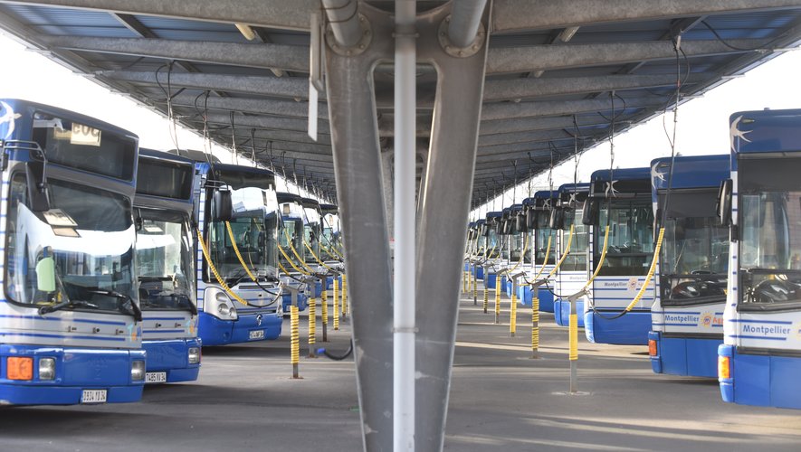 "Sur la ligne 96, un chauffeur a été contraint de rouler les portes ouvertes" : les bus sans clim entraînent une grève à Montpellier