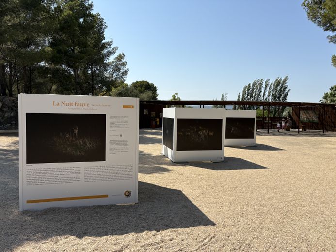 Au-delà du livre, le travail réalisé par l’artiste prend une dimension spectaculaire avec une exposition photographique géante déployée jusqu’à fin 2026 sur les allées du parc à pied de la Réserve