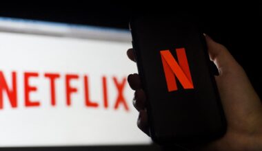 En France, Netflix et ces quatre autres sites concentrent la moitié du trafic internet
