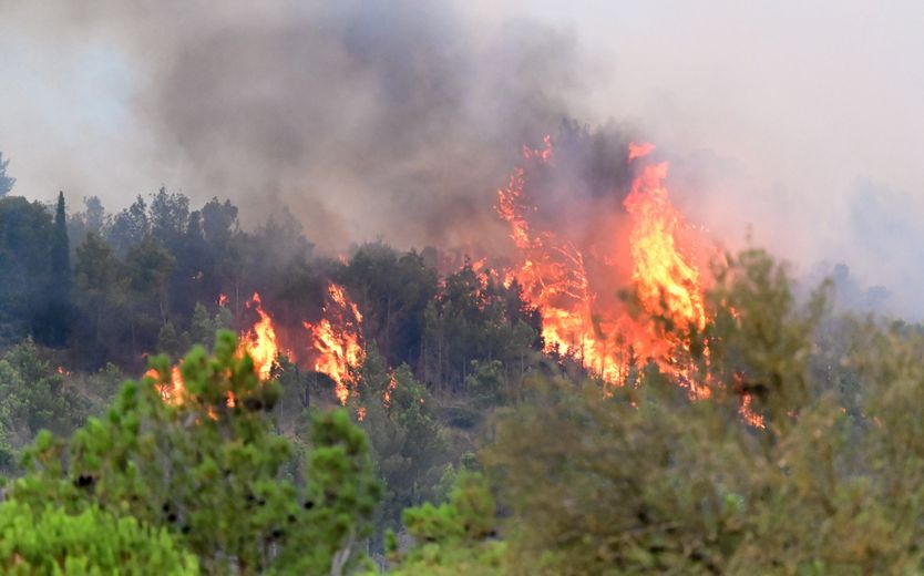 Les flammes ont parcouru 400 hectares.