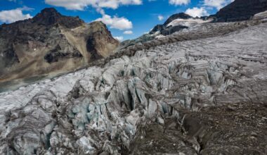 En Suisse, comment un chihuahua a sauvé la vie d’un homme tombé dans une crevasse